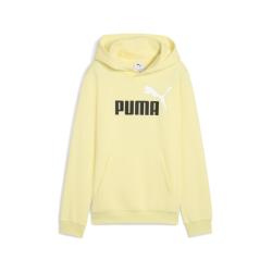 Junior mikina PUMA ESS 2 COLOR NO.1 LOGO HOODIE FL B 68582235